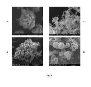 Proceso de producción de nitruro de carbono polimérico en nanohojas.