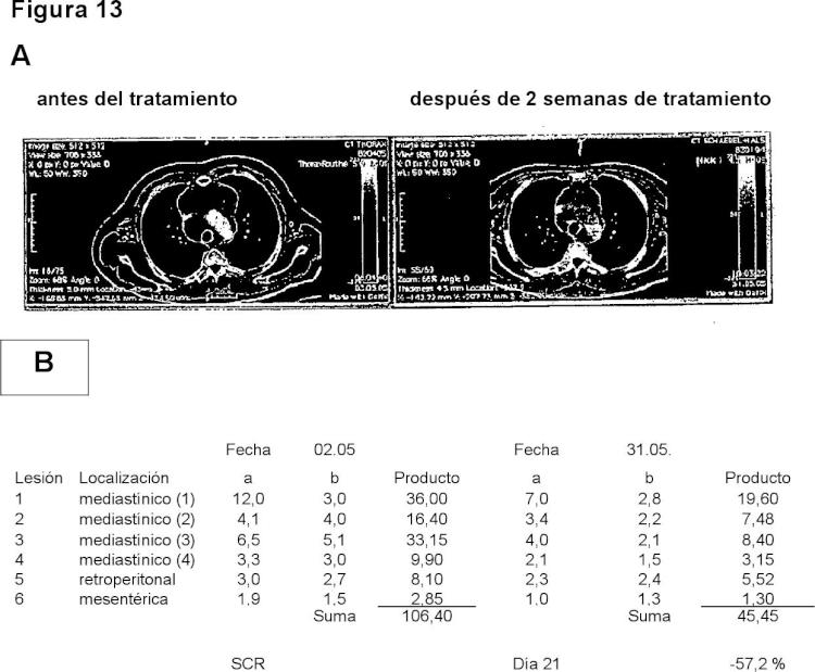 Ilustración 9 de la Galería de ilustraciones de Medios y procedimientos para el tratamiento de enfermedades tumorales