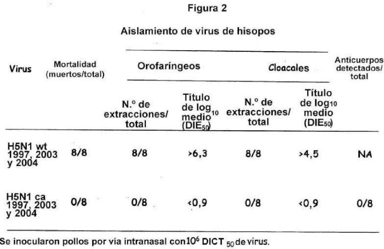 Variantes de la hemaglutinina y la neuraminidasa de influenza.