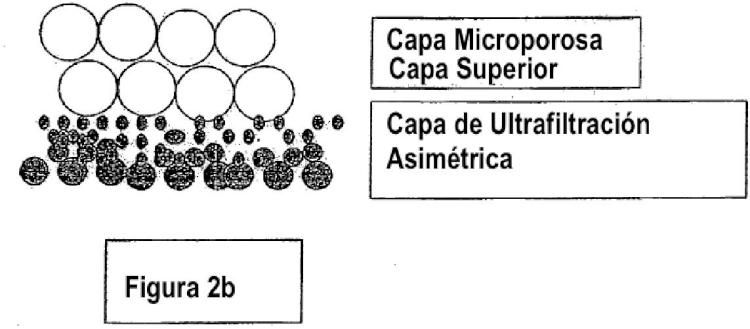 Ilustración 3 de la Galería de ilustraciones de Método para formar membranas de ultrafiltración compuestas de múltiples capas