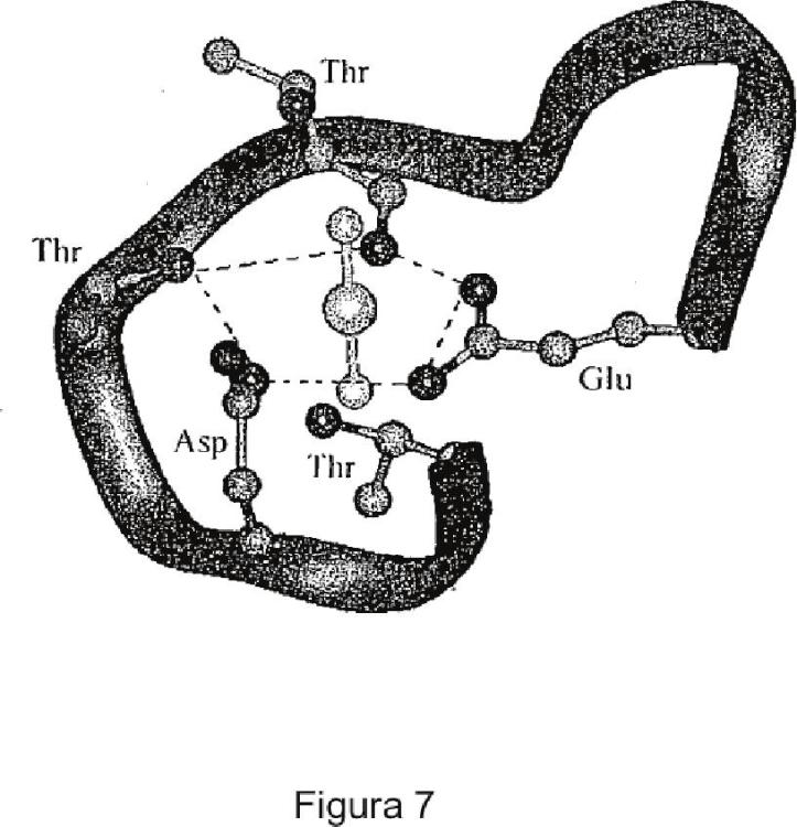Ilustración 2 de la Galería de ilustraciones de Péptidos quelantes del uranio y sus aplicaciones