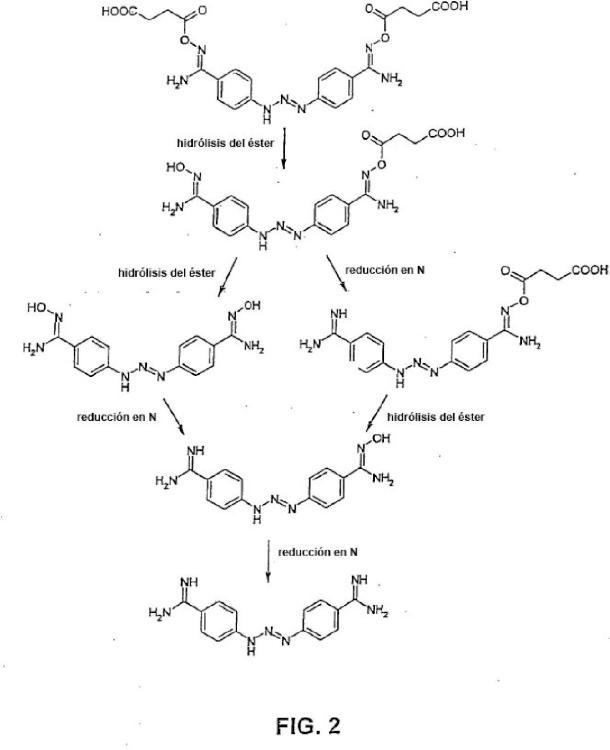 Utilización de ésteres de ácidos amidoxima-carboxílicos y de ésteres de ácidos N-hidroxiguanidino-carboxílicos para la preparación de profármacos.