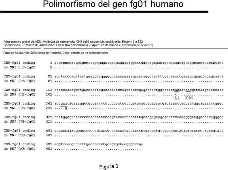 Ilustración 3 de la Galería de ilustraciones de Gen humano fg01 y sus aplicaciones