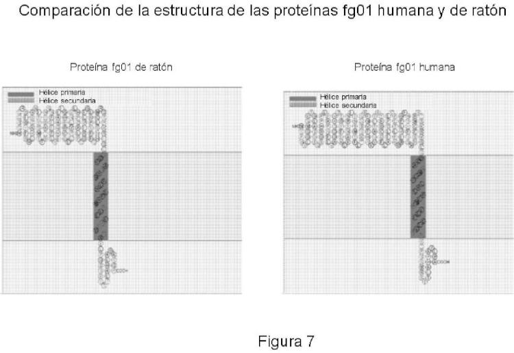Ilustración 7 de la Galería de ilustraciones de Gen humano fg01 y sus aplicaciones