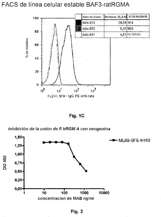 Anticuerpos monoclonales contra la proteína RGM A y usos de los mismos.