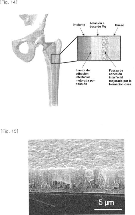 Ilustración 9 de la Galería de ilustraciones de Implantes que comprenden metales biodegradables y procedimiento para la fabricación de los mismos