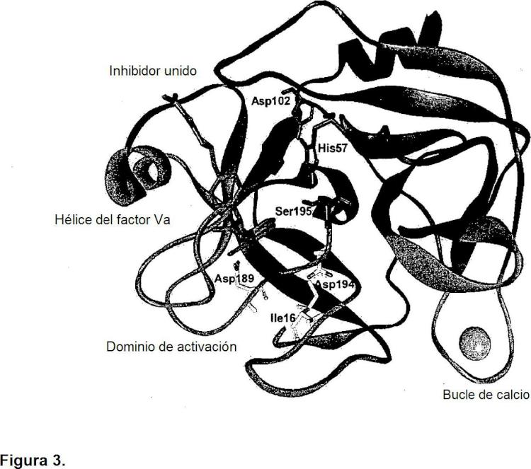 Ilustración 3 de la Galería de ilustraciones de Composiciones y métodos para modular la hemostasia