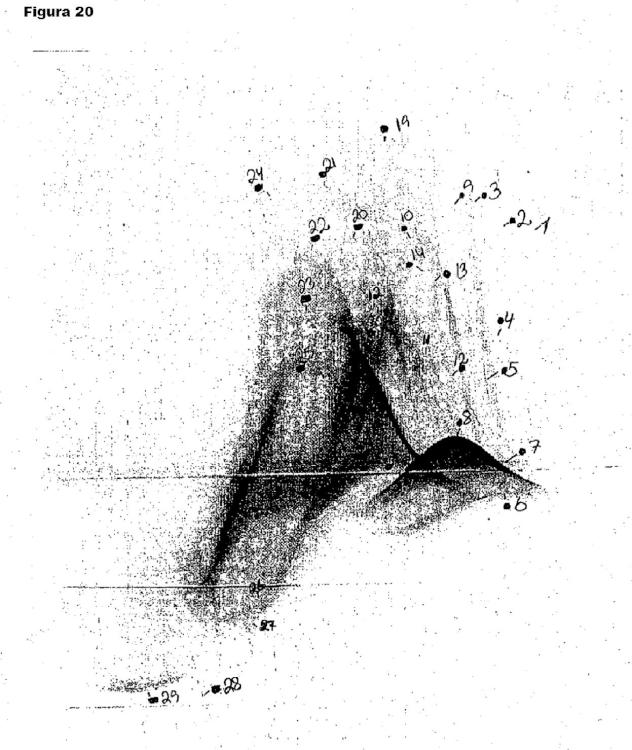 Ilustración 7 de la Galería de ilustraciones de Supresión de una respuesta inmunitaria de hipersensibilidad con un antígeno no relacionado derivado de material fuente de alérgenos