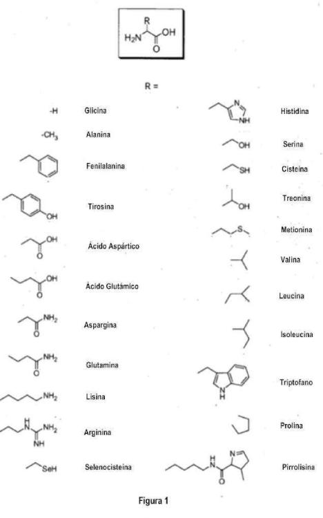 Conjugados de aminoácidos de la quetiapina, proceso para la elaboración y sus usos.
