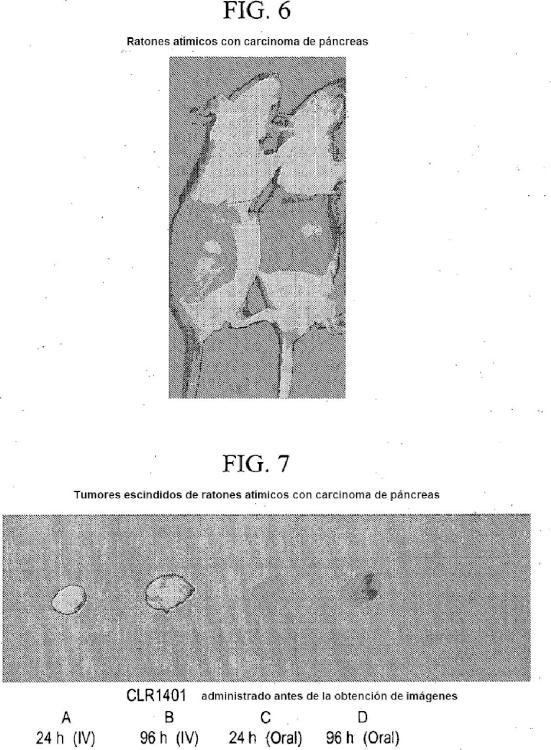 Ilustración 9 de la Galería de ilustraciones de Compuestos de éter de fosfolípido fluorescentes, composiciones y procedimientos de uso