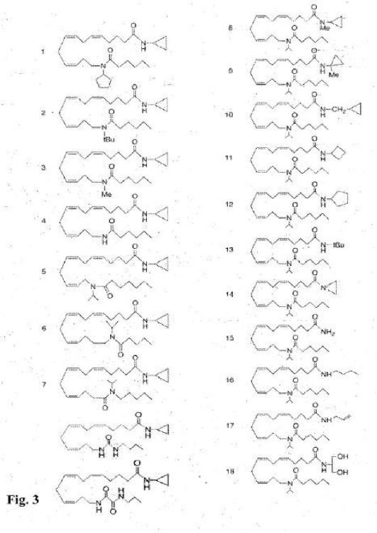 Ilustración 2 de la Galería de ilustraciones de Análogos de ácido araquidónico y métodos para tratamiento analgésico usando el mismo