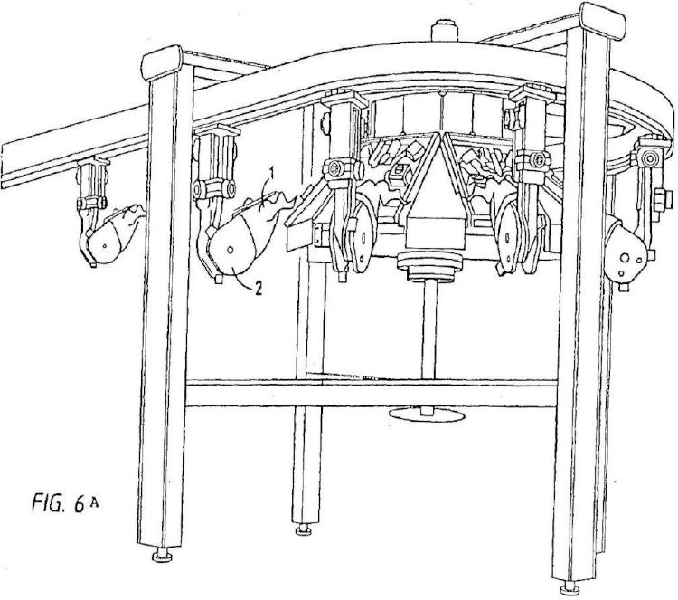 Ilustración 7 de la Galería de ilustraciones de Procedimiento y dispositivo de tratamiento de una pieza de carcasa de aves de corral sacrificadas