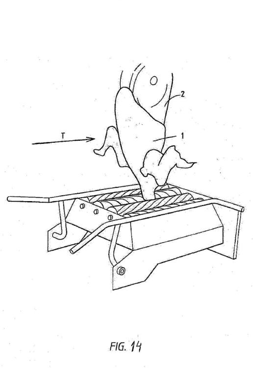 Ilustración 14 de la Galería de ilustraciones de Procedimiento y dispositivo de tratamiento de una pieza de carcasa de aves de corral sacrificadas