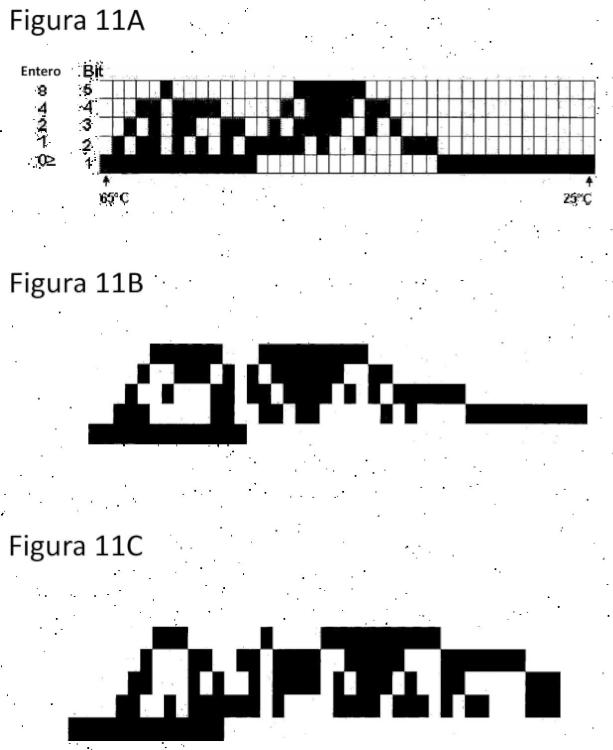 Ilustración 2 de la Galería de ilustraciones de Métodos para analizar secuencias de ácido nucleico monocatenario