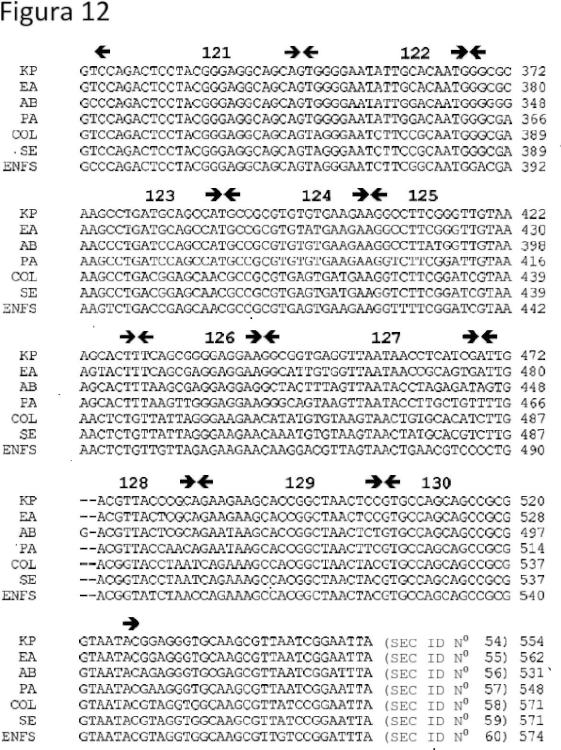 Ilustración 3 de la Galería de ilustraciones de Métodos para analizar secuencias de ácido nucleico monocatenario