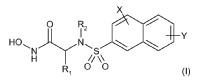 Inhibidores selectivos de MMP-12 y MMP-13 basados en ácido hidroxámico.