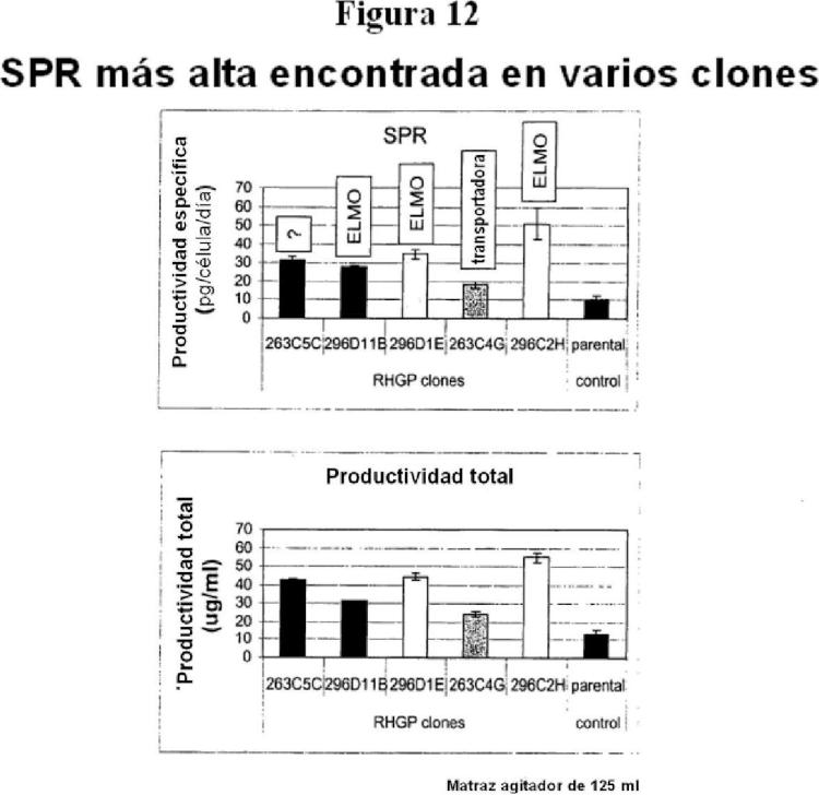 Perturbación genética homocigota aleatoria para mejorar la producción de anticuerpos.