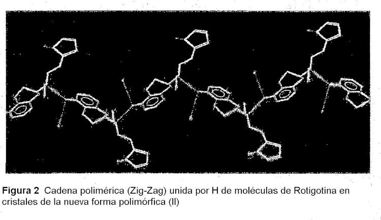Ilustración 2 de la Galería de ilustraciones de Forma polimórfica de rotigotina