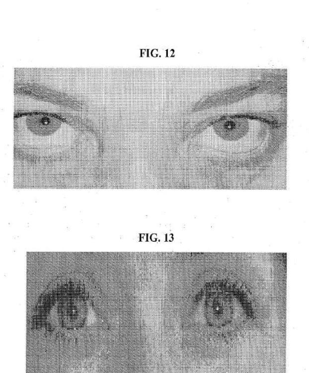 Ilustración 10 de la Galería de ilustraciones de Composiciones y métodos para el blanqueamiento del ojo