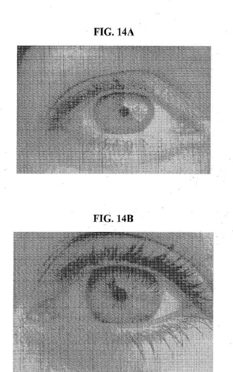 Ilustración 11 de la Galería de ilustraciones de Composiciones y métodos para el blanqueamiento del ojo
