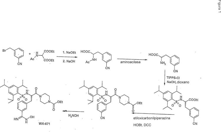 Compuestos de hidroxiamidina e hidroxiguanidina como inhibidores de uroquinasa.