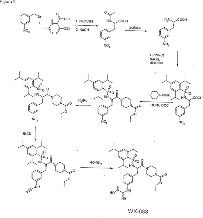Ilustración 3 de la Galería de ilustraciones de Compuestos de hidroxiamidina e hidroxiguanidina como inhibidores de uroquinasa