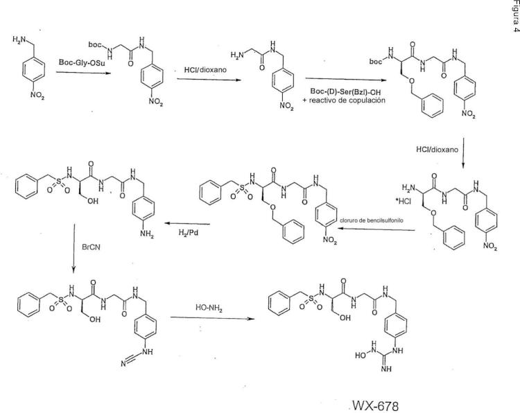 Ilustración 4 de la Galería de ilustraciones de Compuestos de hidroxiamidina e hidroxiguanidina como inhibidores de uroquinasa