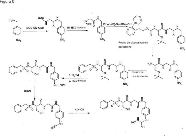 Ilustración 6 de la Galería de ilustraciones de Compuestos de hidroxiamidina e hidroxiguanidina como inhibidores de uroquinasa