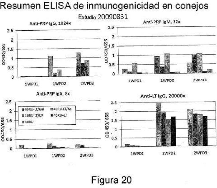 Ilustración 9 de la Galería de ilustraciones de Conjugación de polisacárido con enterotoxina termolábil (LT) de E. coli desintoxicada usada como vacuna