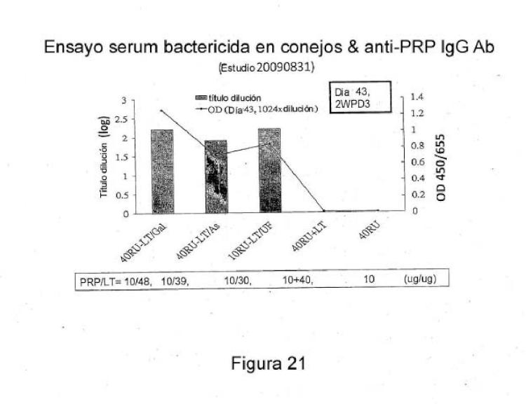 Ilustración 10 de la Galería de ilustraciones de Conjugación de polisacárido con enterotoxina termolábil (LT) de E. coli desintoxicada usada como vacuna