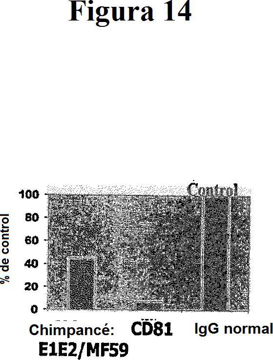 Ilustración 12 de la Galería de ilustraciones de Proteína E1E2 del VHC adyuvantada con MF59 más vector de alfavirus que codifica E1E2 del VHC para provocar linfocitos T específicos del VHC