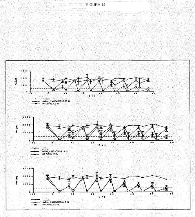 Ilustración 5 de la Galería de ilustraciones de Composiciones de fenilalanina amoníaco-liasa procariótica y métodos de uso de dichas composiciones
