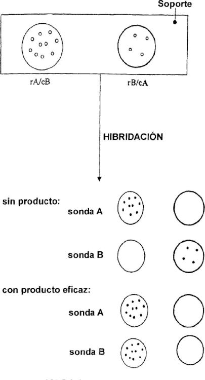 Ilustración 4 de la Galería de ilustraciones de Detección sistemática diferencial cualitativa