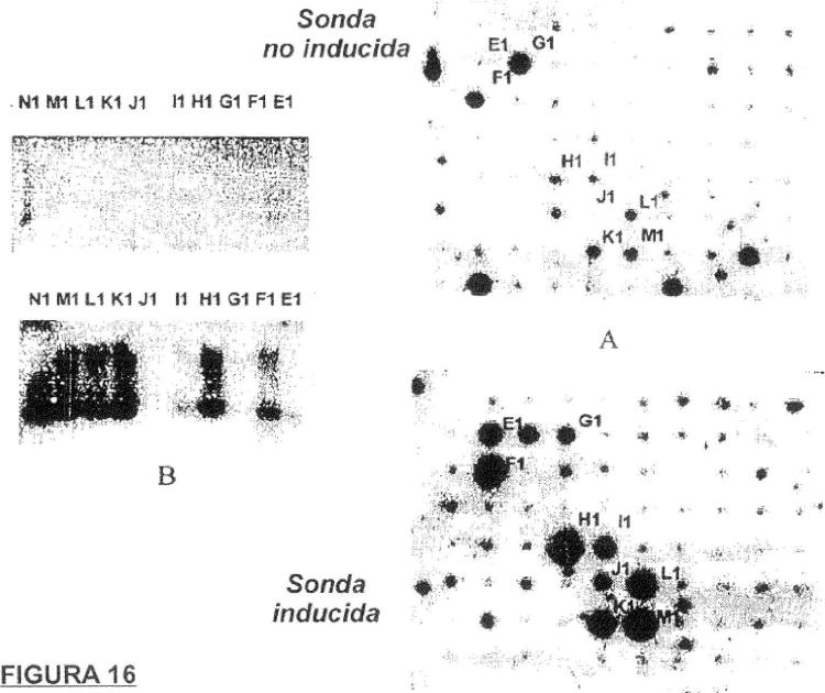 Ilustración 6 de la Galería de ilustraciones de Detección sistemática diferencial cualitativa