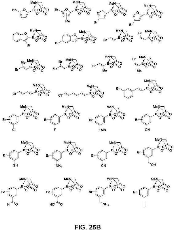 Ilustración 15 de la Galería de ilustraciones de Sistema para controlar la reactividad de los ácidos borónicos