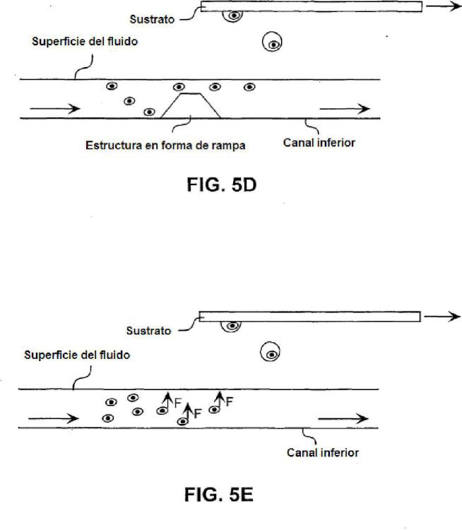 Ilustración 9 de la Galería de ilustraciones de Método y sistema de clasificación celular por expulsión acústica focalizada