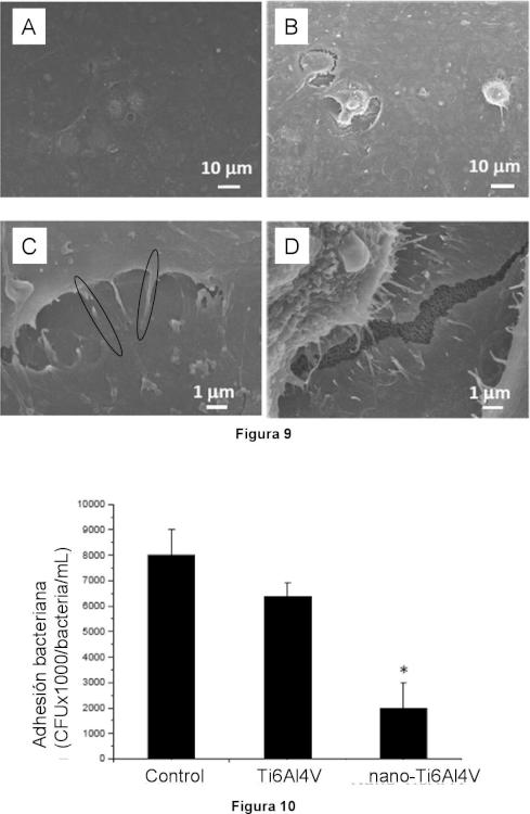 Ilustración 6 de la Galería de ilustraciones de IMPLANTES BIOCOMPATIBLES DE TITANIO NANOESTRUCTURADO CON PROPIEDADES ANTIBACTERIANAS