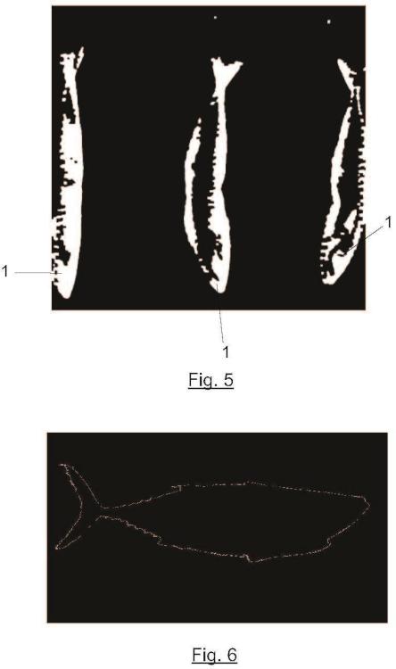 Ilustración 3 de la Galería de ilustraciones de Sistema y método para la estimación de atunes capturados por especie a bordo de embarcaciones pesqueras