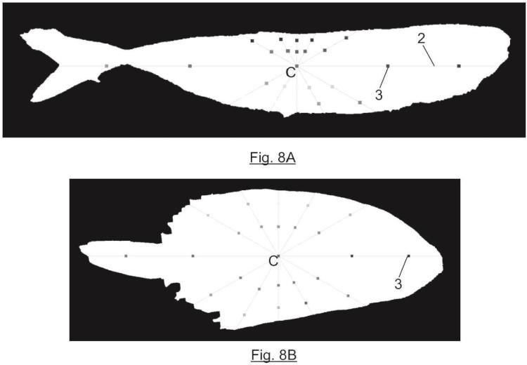 Ilustración 5 de la Galería de ilustraciones de Sistema y método para la estimación de atunes capturados por especie a bordo de embarcaciones pesqueras