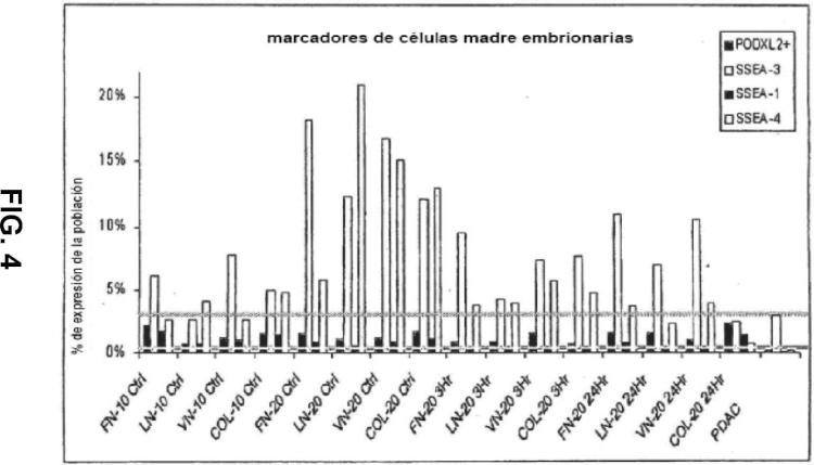 Ilustración 4 de la Galería de ilustraciones de Métodos y composiciones para el tratamiento de defectos óseos con poblaciones de células placentarias