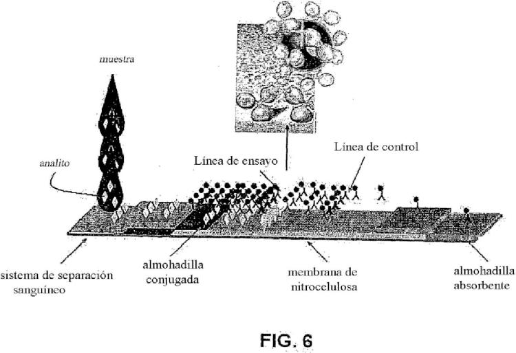 Ilustración 6 de la Galería de ilustraciones de Dispositivos, métodos y kits de inmunocromatografía