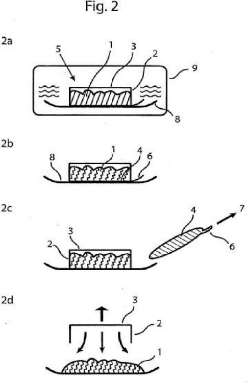 Ilustración 2 de la Galería de ilustraciones de Envase para alimentos y procedimiento para la transferencia de alimentos