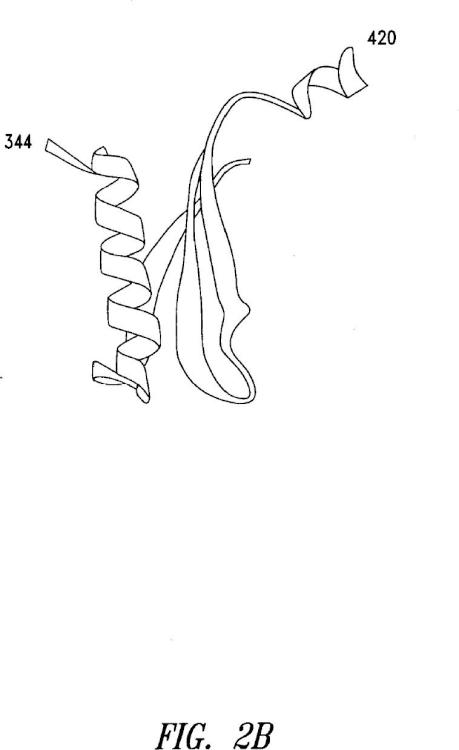 Ilustración 3 de la Galería de ilustraciones de Motivos estructurales de polipéptidos asociados con la actividad de señalización celular
