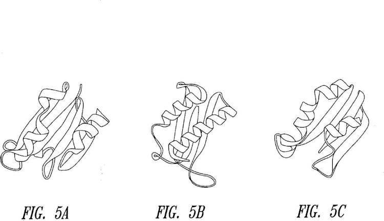 Ilustración 7 de la Galería de ilustraciones de Motivos estructurales de polipéptidos asociados con la actividad de señalización celular