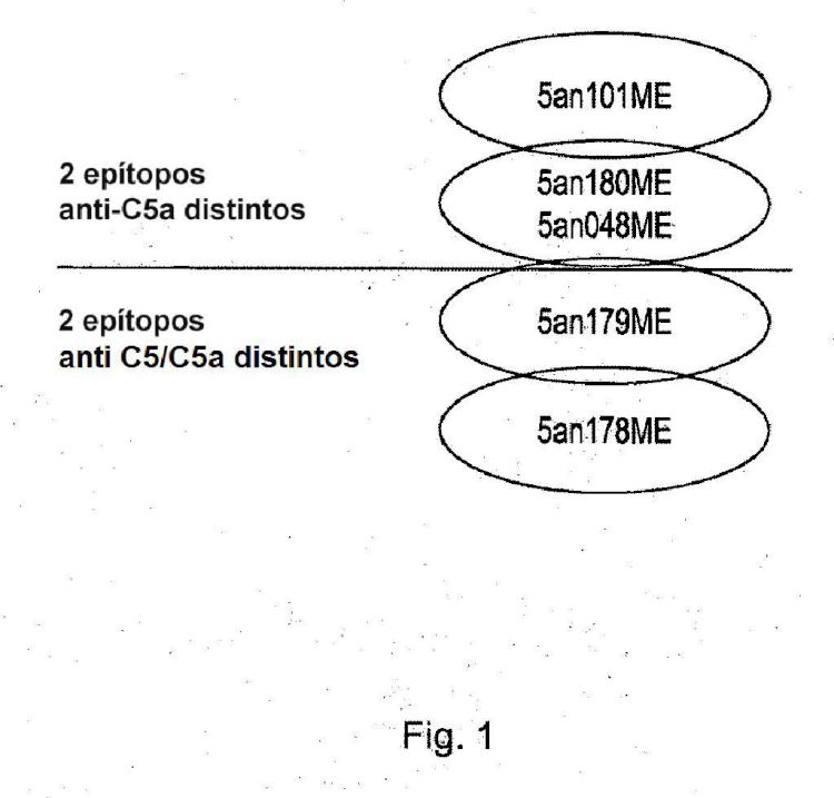 Anticuerpos anti-C5a y métodos para el uso de los anticuerpos.