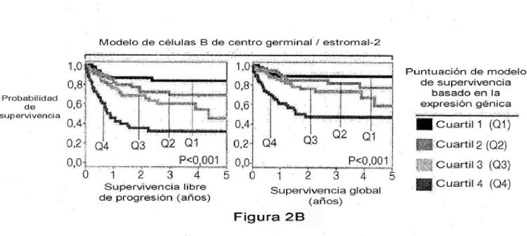Ilustración 4 de la Galería de ilustraciones de Factor de predicción de supervivencia para linfoma difuso de células B grandes