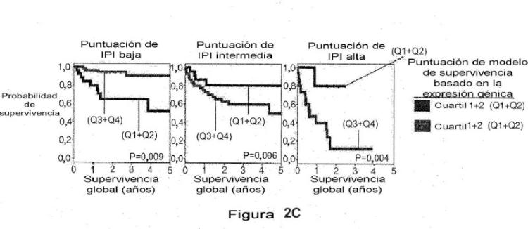 Ilustración 5 de la Galería de ilustraciones de Factor de predicción de supervivencia para linfoma difuso de células B grandes