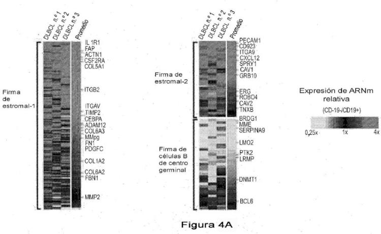 Ilustración 7 de la Galería de ilustraciones de Factor de predicción de supervivencia para linfoma difuso de células B grandes