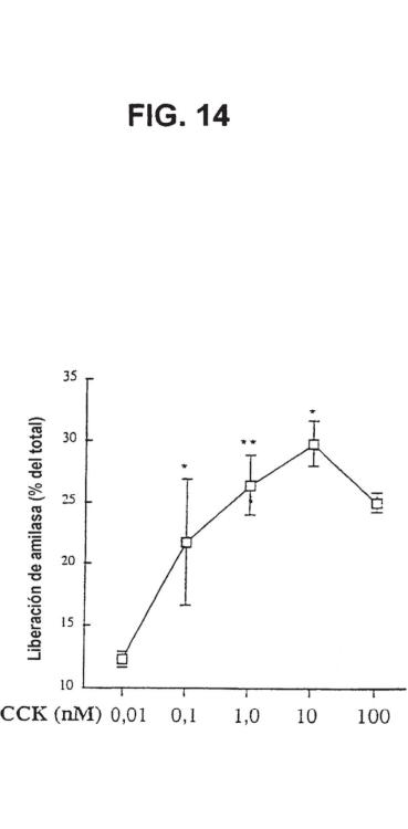 Ilustración 14 de la Galería de ilustraciones de Diferenciación de células no productoras de insulina en células productoras de insulina mediante GLP-1 o exendina-4 y utilizaciones de las mismas