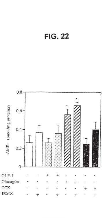 Ilustración 22 de la Galería de ilustraciones de Diferenciación de células no productoras de insulina en células productoras de insulina mediante GLP-1 o exendina-4 y utilizaciones de las mismas